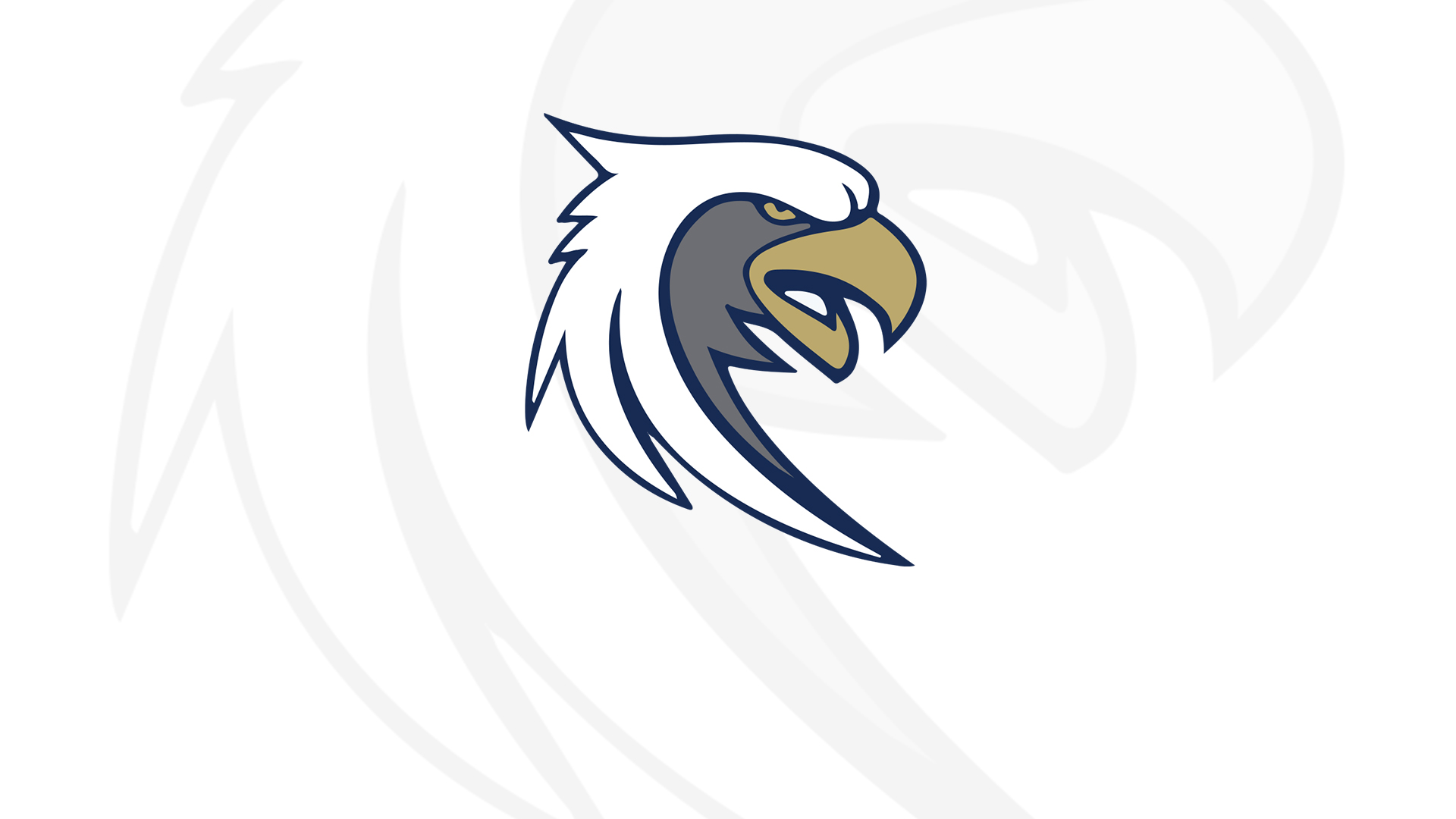 Screaming Eagles Secure Comeback Victory Over Clinton College, Next Up Regionals